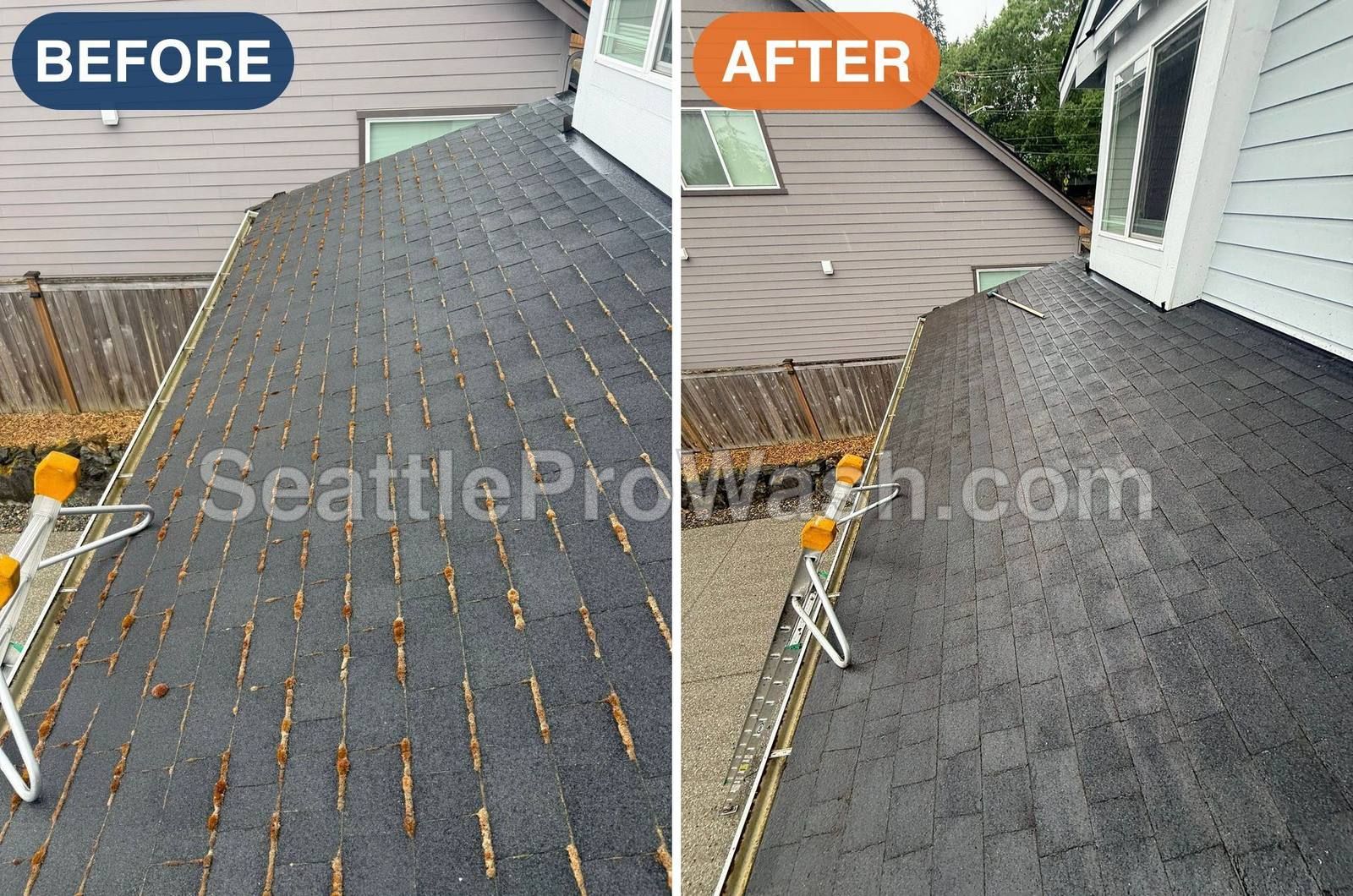 Asphalt roof with moss in every shingle seam before and after removal and treatment
