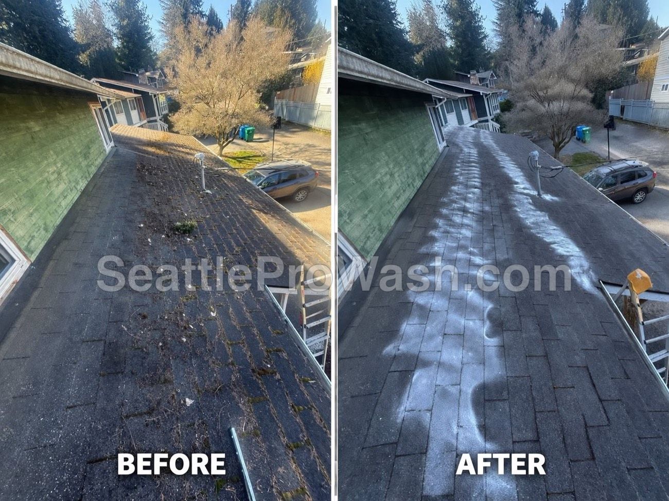 Debris-covered dark asphalt roof before and after cleaning and treatment