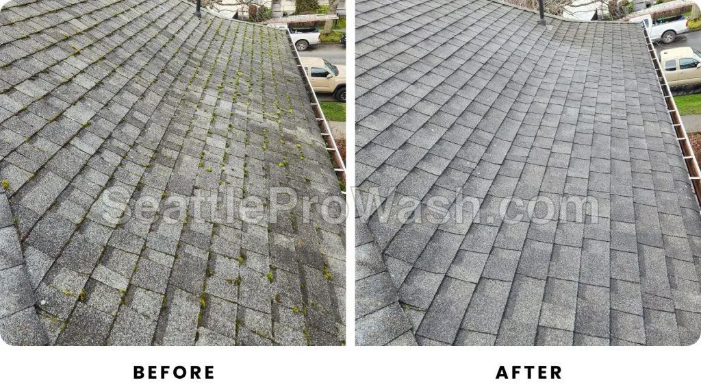 Roof before and after moss removal