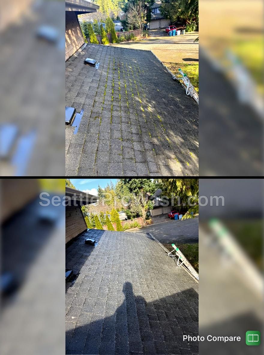 Asphalt roof before and after soft-wash cleaning - Professional moss removal in Kenmore and Kirkland